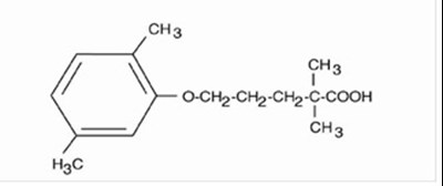 image - Gemfibrozil str
