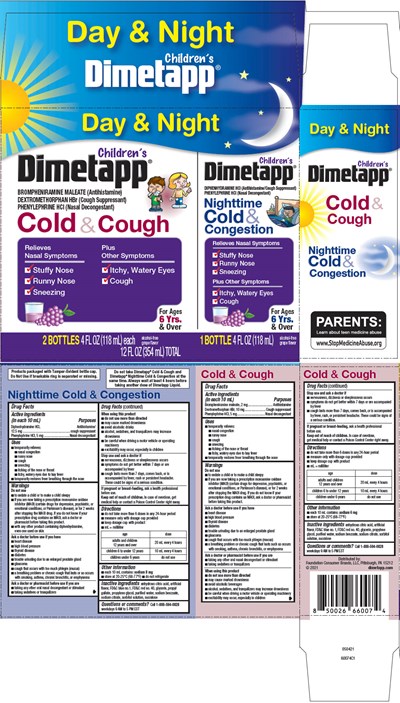 dimetapp-01.jpg PRINCIPAL DISPLAY PANEL - Kit Carton - dimetapp 01