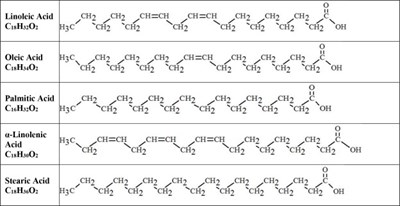 Figure - int0i 0001 09