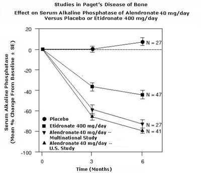 alendronate-fig6.jpg Studies in Paget's Disease of Bone Effect on Serum Alkaline Phosphatase of Alendronate 40 mg/day Versus placebo or Etidronate 400 mg/day - alendronate fig6
