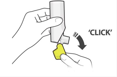 Figure C - fluticasone propionate salmeterol inhalation powde 15