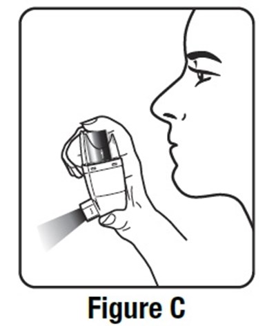 Figure-c.jpg (Figure C)