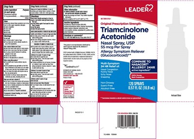 Triamcinolone Acetonide 55 Mcg (glucocorticoid) (Triamcinolone Acetonide Nasal Spray 2)