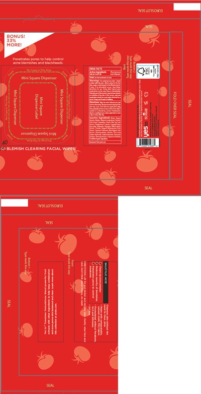 Principal Display Panel (25 Facial Wipe Packet)