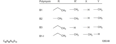 Image2