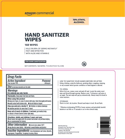 Principal Display Panel (160 Wipe Pouch Canister Label)