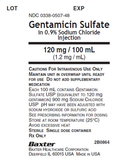 Gentamicin Representative Container Label 0338-0507-48 - image 12
