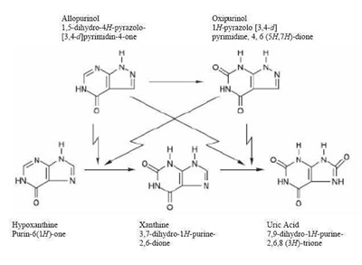 Figure (Allopurinol Fig 1)