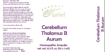 CerebellumThalamusBAurumAmpules.jpg cerebellumthalamusbaurumampules - CerebellumThalamusBAurumAmpules