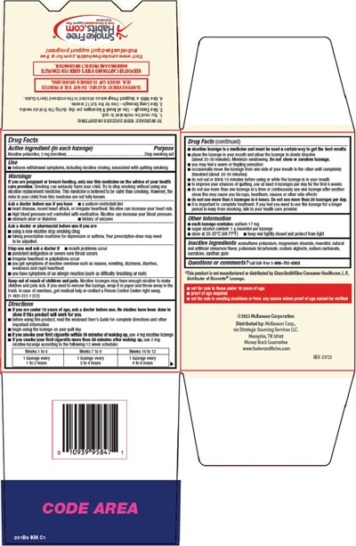 Nicotine Lozenge-image-2 (Image 07)