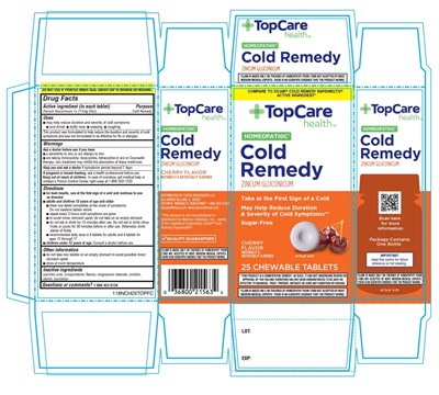 zicam-01.jpg TopCare Health Cold Remedy Cherry Flavor - zicam 01