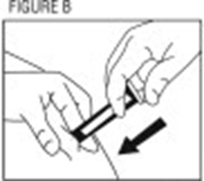 Figure B - eno0b 0003 02