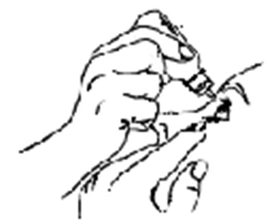 Figure 5 Illustration (8417d162 65a1 4266 Bca7 707af1193bf3 04)