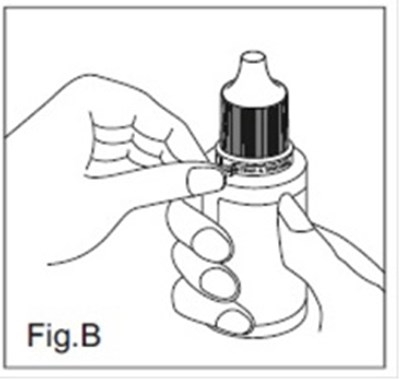 124 (Dorzola Fig 2)