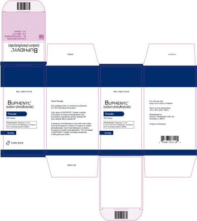 buphenyl-03.jpg PRINCIPAL DISPLAY PANEL - 250 G Bottle Carton - buphenyl 03