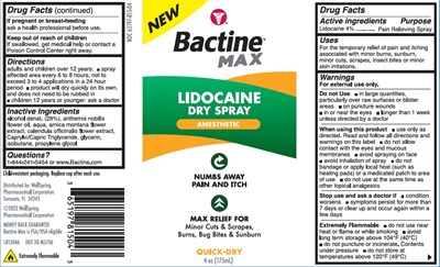 bactine-max-dry-spray-4oz-1.jpg Artwork - bactine max dry spray 4oz 1
