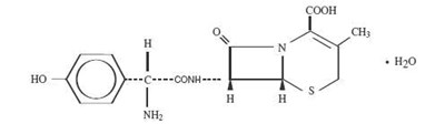Cefadroxil Tablet 1