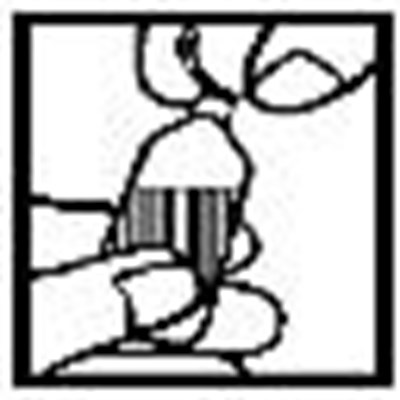 Instructions #1 (46b4392a 47dd 47b5 9f99 13e4c188faa4 02)