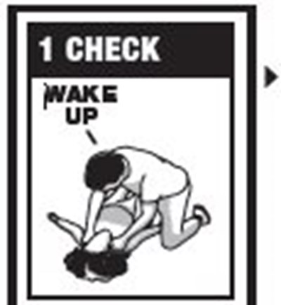 Step 1 (Image 01)