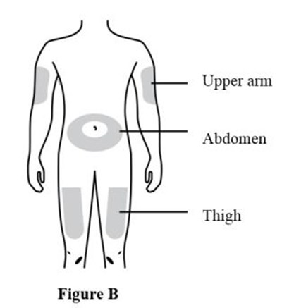 Prepare And Clean Two Injection Sites, One For Each Of The Two Injections. See Figure B. (Evenity 02)
