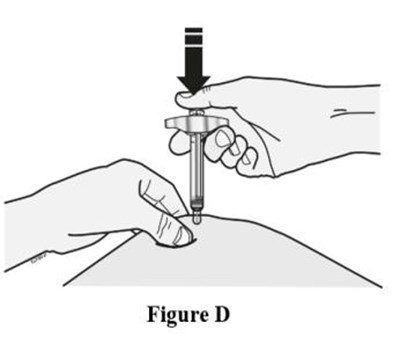 Figure D (Evenity 04)