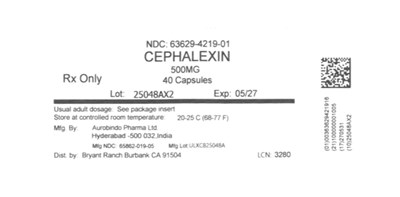 Label (Lbl636294219)