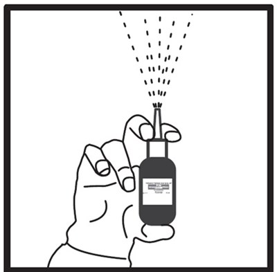 Image Description (Fluticasone Propionate Spray Figure 3)
