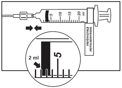 Figure 6 (Brineura 6)