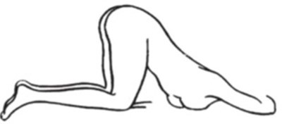 Fig-d (Fig D)