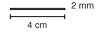 Figure 19 (Nexplanon 29)