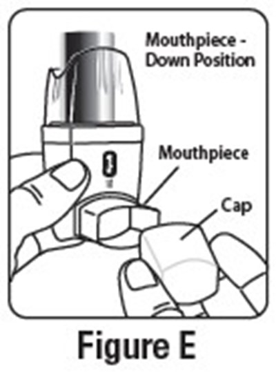 Figure-e.jpg (Figure E)