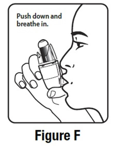 Figure-f.jpg (Figure F)