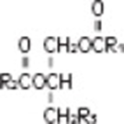 Intra-struc-04.jpg (Intra Struc 04)