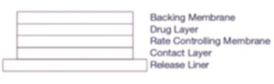 Patch System (Scopolamine Transdermal System 2)
