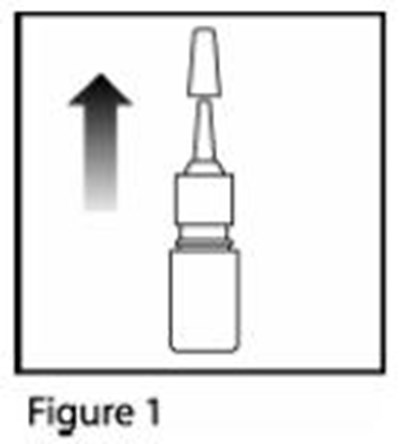 Figure1 (Figure1)