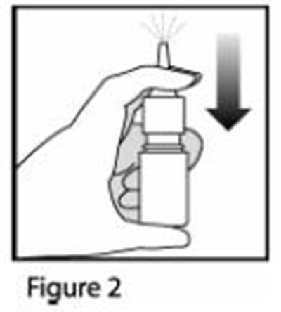 Figure2 (Figure2)