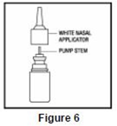 Figure6 (Figure6)