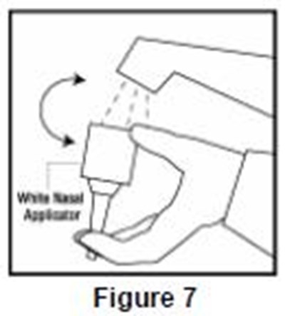 Figure7 (Figure7)