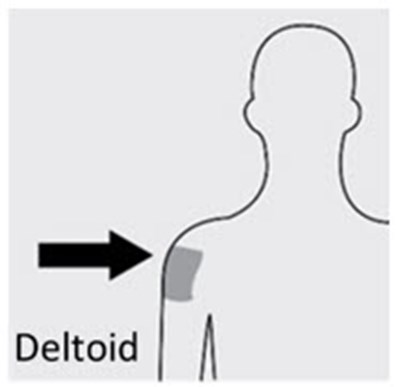 Image (Erzofri 10)