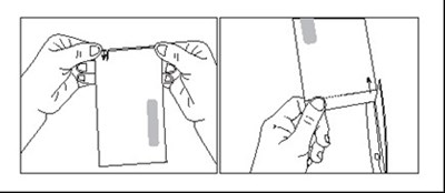 Figure2.jpg (Figure2)