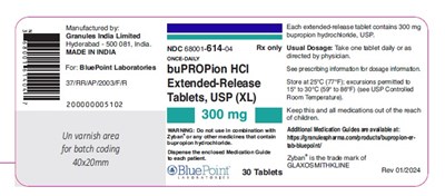 Bupropion 300mg 30ct (Bupropion 300mg 30s)