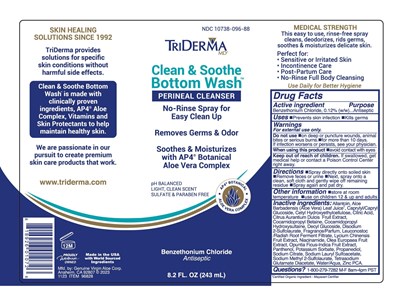 Triderma Clean Soothe Bottom Wash - Images NDC 10738-096