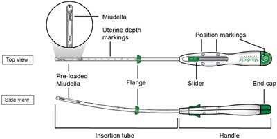 Figure D (Miudella 17)