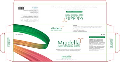 Principal Display Panel (1 Tray Box)