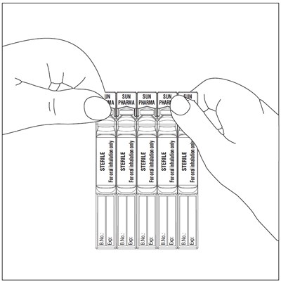 Spl-budesonide-fig-4 (Spl Budesonide Fig 4)