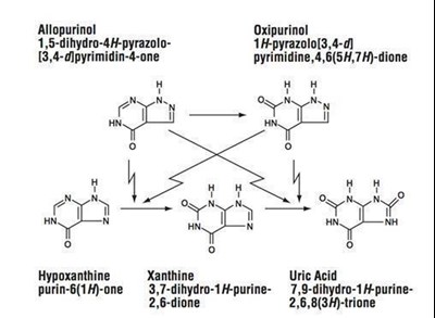 allopurinol-02 - allopurinolranbaxy figure 02