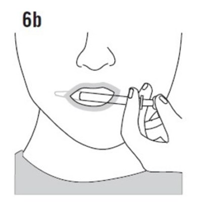 Image Description (Figure6b)