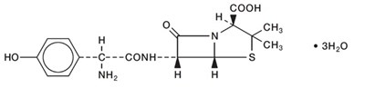 Amoxicillin Strcuture (Struc Amox)