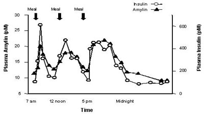 image-02.jpg Figure 1 - image 02
