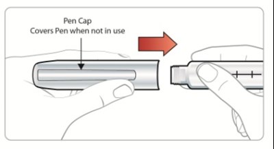 Figure U - 60mcg replace cap - image 28